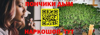 мдпв Гай