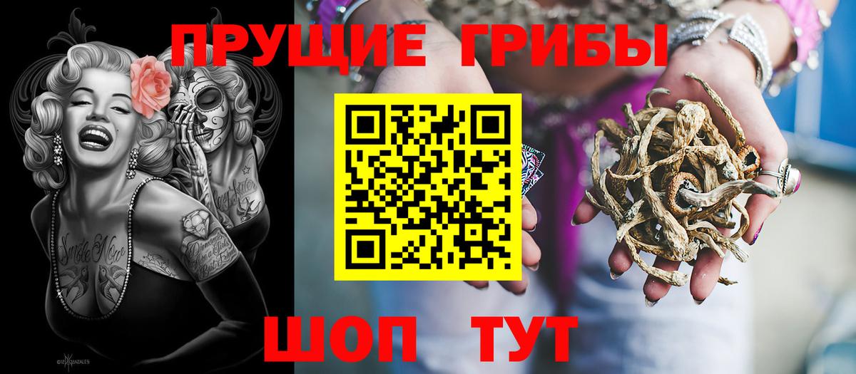 Псилоцибиновые грибы Psilocybe Нефтеюганск